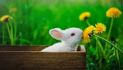 开云官网-中国U22男足晋级亚洲杯决赛圈